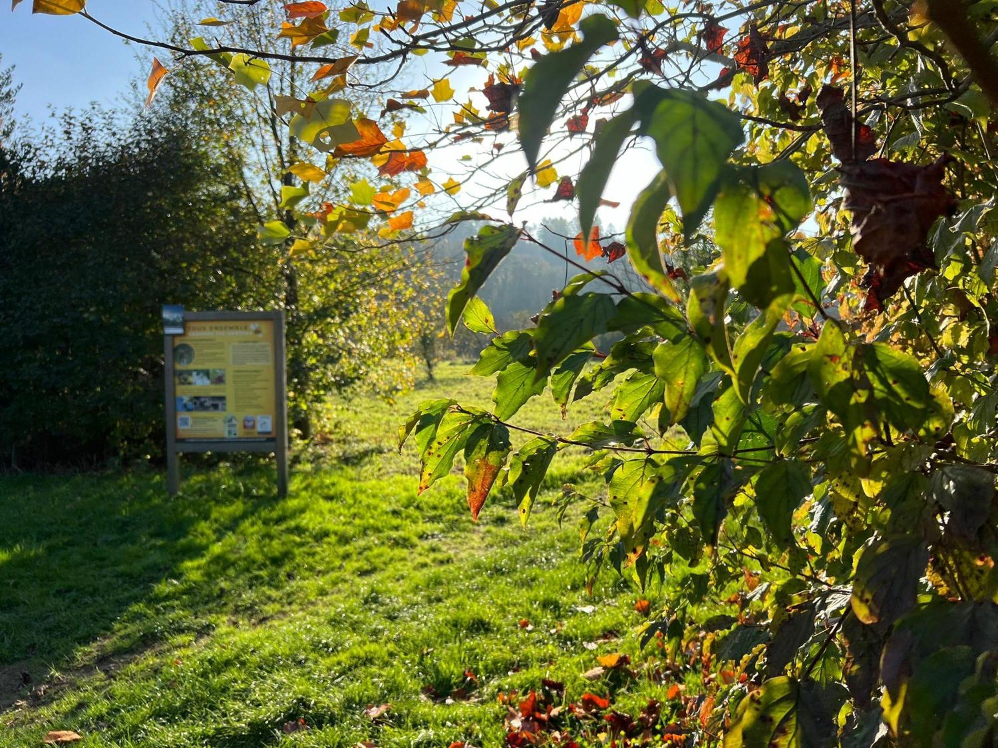 La Boverie, 137 * Rendeux